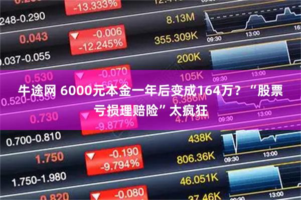 牛途网 6000元本金一年后变成164万？“股票亏损理赔险”太疯狂