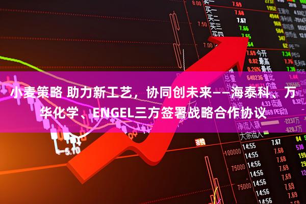 小麦策略 助力新工艺，协同创未来——海泰科、万华化学、ENGEL三方签署战略合作协议